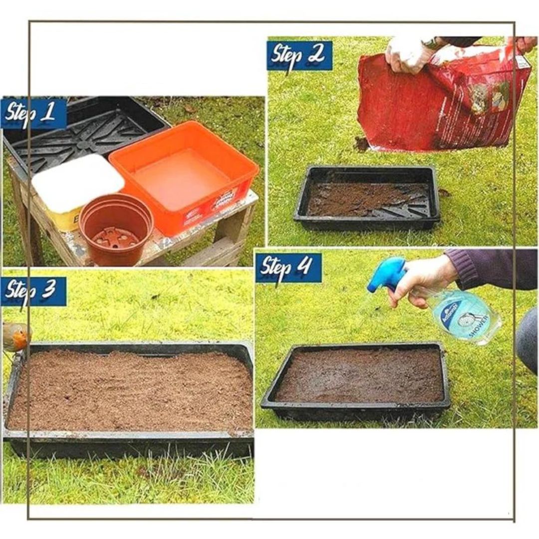 Mixed Flower Seeds (Pack of 100) + Free Fertilizer