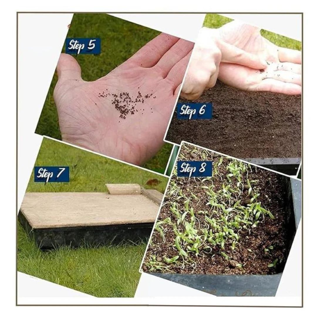Mixed Flower Seeds (Pack of 100) + Free Fertilizer