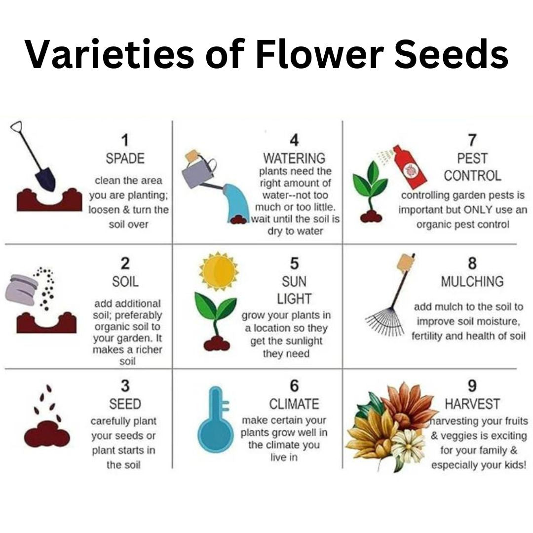 Mixed Flower Seeds (Pack of 100) + Free Fertilizer